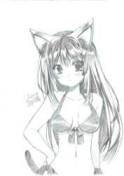 Rule 34 | 1girl, :&lt;, animal ears, bikini, blush, breasts, cat ears, cat girl, cat tail, commentary request, copyright request, dated, graphite (medium), greyscale, hair between eyes, hand on own hip, long hair, looking at viewer, mechanical pencil, medium breasts, monochrome, pencil, ryuuga shou, signature, simple background, solo, swimsuit, tail, traditional media, white background