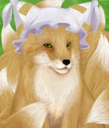 Rule 34 | female focus, fox, haro (artist), hat, no humans, oekaki, touhou, yakumo ran, yakumo ran (fox)