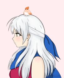 Rule 34 | 1girl, animal, animal on head, bangle, bare shoulders, bird, bird on head, blue scarf, blush, bracelet, dress, fire emblem, fire emblem: radiant dawn, fire emblem heroes, hair ribbon, half updo, jewelry, kircca, long hair, looking away, looking to the side, micaiah (fire emblem), nintendo, on head, pink background, ribbon, scarf, serious, silver hair, simple background, sketch, sleeveless, sleeveless dress, solo, upper body, yellow eyes, yune (fire emblem)