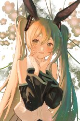Rule 34 | 1girl, absurdres, ahoge, animal ears, bare shoulders, black sleeves, blush, collared shirt, commentary, detached sleeves, green eyes, green hair, hair between eyes, hair ornament, hands on own cheeks, hands on own face, hands up, hatsune miku, highres, kemonomimi mode, long hair, looking at viewer, parted bangs, rabbit ears, rabbit girl, raised eyebrows, shirt, sidelocks, sleeveless, sleeveless shirt, solo, straight-on, symbol-only commentary, twintails, upper body, very long hair, vocaloid, white shirt, yurun (yurun ume)