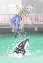 Rule 34 | 1girl, alternate costume, black footwear, blowhole, blue hair, blue pants, blush, cetacean tail, common bottlenose dolphin (kemono friends), dolphin, dolphin girl, dorsal fin, fins, fish tail, grey hair, grey shirt, head fins, highres, kemono friends, midair, mujinamori tamakichi, multicolored hair, open mouth, pants, shirt, short hair, short sleeves, smile, solo, t-shirt, tail, water, water drop, white hair