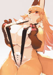 Rule 34 | 1girl, :o, animal ears, animal hands, animal nose, blush, body fur, breasts, brown fur, dated, furry, furry female, gradient background, grey background, highres, huge breasts, kishibe, looking at viewer, multicolored fur, navel, orange fur, original, slingshot swimsuit, snout, solo, swimsuit, tail, thick eyebrows, white fur