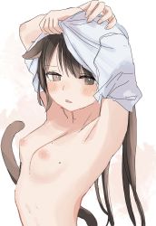 Rule 34 | 1girl, animal ears, armpits, arms behind head, arms up, artist self-insert, blush, breasts, brown eyes, brown hair, highres, long hair, looking at viewer, medium breasts, mole, mole on breast, mole on neck, nude, original, puffy nipples, seno (senokuni), shirt, sketch, solo, tail, undressing, upper body, wavy mouth, white shirt