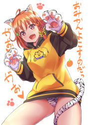 Rule 34 | 1girl, ahoge, animal ears, animal hands, bow, braid, cameltoe, clothes writing, clover hair ornament, drawstring, fang, gao, gloves, hair ornament, highres, hood, hood down, hoodie, kanabun, kemonomimi mode, long sleeves, looking at viewer, love live!, love live! sunshine!!, medium hair, no pants, orange hair, panties, paw gloves, paw print, print bow, print hoodie, print panties, raglan sleeves, red eyes, side braid, skin fang, solo, tail, takami chika, tiger ears, tiger tail, translation request, underwear, v-shaped eyebrows, white background, white tiger print, yellow bow, yellow hoodie