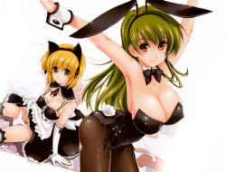 Rule 34 | 2girls, animal ears, armpits, arms up, blonde hair, blush, bow, bow panties, bowtie, breasts, cat ears, cat tail, cleavage, elbow gloves, fake animal ears, gloves, green eyes, green hair, hairband, kamino ryuuya, large breasts, leaning forward, leotard, long hair, lowres, maid, multiple girls, outstretched arms, panties, panty pull, pantyhose, pink panties, playboy bunny, rabbit ears, rabbit tail, shiny clothes, short hair, sitting, smile, spread arms, tail, thighhighs, underwear, wrist cuffs, yellow eyes