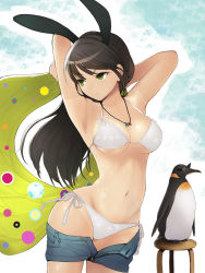 Rule 34 | 1girl, animal ears, armpits, arms up, bikini, bird, black hair, breasts, chair, cleavage, clothes, clothes pull, green eyes, hareno chiame, holding, jewelry, long hair, navel, necklace, original, outstretched arms, parted lips, pendant, penguin, rabbit ears, short shorts, shorts, shorts pull, side-tie bikini bottom, solo, sunglasses, swimsuit, tan, tanline, towel, unzipped, white bikini