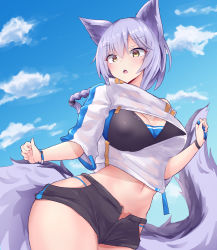 Rule 34 | :o, animal ears, arknights, bikini, bikini shorts, breasts, contrapposto, cowboy shot, highres, hip vent, large breasts, large tail, low tied hair, midriff, navel, official alternate costume, open clothes, open fly, open shorts, provence (arknights), purple hair, purple tail, short hair, short sleeves, shorts, solo, standing, swimsuit, tail, teeth, open fly, upper teeth only, wolf ears, wolf tail, yellow eyes, yuuki shuri