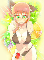 Rule 34 | 1girl, animal ears, apple, bad id, bespectacled, bikini, breasts, cat ears, cat girl, cat tail, cleavage, eating, eightman, female focus, food, fruit, glasses, green eyes, holding, holding food, holding fruit, kaenbyou rin, large breasts, red hair, solo, swimsuit, tail, touhou