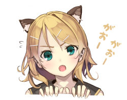 Rule 34 | 1girl, :o, animal ears, aqua eyes, bad id, bad pixiv id, blonde hair, blush, cat ears, close-up, fang, flying sweatdrops, furukawa itsuse, hair ornament, hairclip, kagamine rin, looking at viewer, open mouth, sailor collar, short hair, simple background, solo, translated, vocaloid, white background