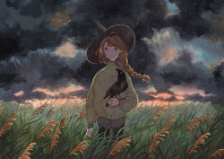 Rule 34 | 1girl, bird, black eyes, black hat, braid, braided ponytail, brown sweater, cloud, cloudy sky, crow, expressionless, feet out of frame, grass, hat, heikala, highres, long hair, long sleeves, looking at viewer, original, sky, solo, sweater, traditional media, witch hat