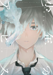 Rule 34 | 1boy, artist name, black necktie, closed mouth, collared shirt, copyright name, cover, cover page, fish, grey eyes, grey hair, highres, kurose reiji, looking at viewer, male focus, manga cover, medium hair, minenami ryou, necktie, official art, parted lips, portrait, shirt, shounen no abyss, siamese fighting fish, solo, white shirt, wing collar