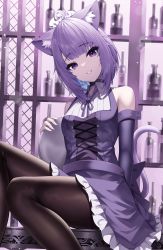 Rule 34 | 1girl, absurdres, alternate costume, animal ear fluff, animal ears, bar (place), blunt bangs, bottle, brown pantyhose, cat ears, cat girl, cat tail, detached sleeves, highres, hololive, looking at viewer, nekomata okayu, pantyhose, parted lips, purple eyes, purple hair, purple skirt, purple sleeves, roina (effj7473), short hair, skirt, smile, solo, tail, virtual youtuber