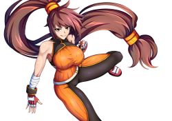 Rule 34 | 1girl, brown hair, dnf duel, dungeon and fighter, fighter (dungeon and fighter), fingerless gloves, gloves, highres, long hair, ponytail, shiny clothes, shiny skin, solo, transparent background, very long hair, yellow eyes