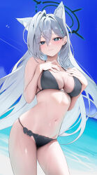 Rule 34 | 1girl, absurdres, animal ear fluff, animal ears, bare shoulders, beach, bikini, black bikini, blue archive, blue eyes, blue sky, blush, breasts, bright pupils, cleavage, closed mouth, collarbone, commentary, cross hair ornament, extra ears, grey hair, hair ornament, halo, highres, large breasts, long hair, looking at viewer, mismatched pupils, navel, rable, revision, shiroko (blue archive), shiroko terror (blue archive), shore, sidelocks, sky, solo, swimsuit, thighs, very long hair, white pupils, wolf ears