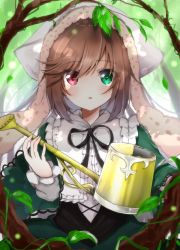 Rule 34 | 1girl, blush, bonnet, brown hair, dress, forest, frills, green dress, green eyes, hairband, heterochromia, highres, himemiya shuang, lolita fashion, lolita hairband, long hair, multicolored eyes, nature, open mouth, red eyes, rozen maiden, solo, suiseiseki, watering can