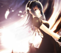Rule 34 | 1girl, arin, back, black dress, black hair, breasts, cross-laced clothes, dress, dutch angle, feathers, field, flower, frills, futami kito, glowing, grass, hair flower, hair ornament, hairband, large breasts, light, long hair, looking at viewer, looking back, pangya, petals, purple eyes, skirt hold, sky, solo