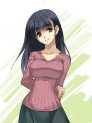 Rule 34 | 1girl, arm behind back, black hair, breasts, brown eyes, character request, collarbone, hand on own arm, kanikame, metal max, ribbed sweater, skirt, smile, solo, sweater