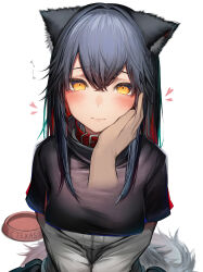 Rule 34 | 1girl, absurdres, animal ears, arknights, bad id, bad pixiv id, blush, character name, closed mouth, disembodied hand, hair between eyes, highres, looking at viewer, simple background, solo focus, tab head, tail, texas (arknights), white background, wolf ears, wolf girl, wolf tail, yellow eyes
