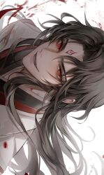 Rule 34 | 1boy, absurdres, black hair, black robe, chinese clothes, facial mark, forehead mark, highres, long hair, luo binghe, male focus, parted bangs, red eyes, renzha fanpai zijiu xitong, robe, smile, very long hair, white robe, young57440489