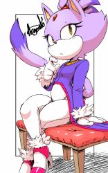 Rule 34 | 1girl, animal ears, argento, artist name, blaze the cat, breasts, female focus, furry, furry female, highres, sitting, sonic (series), tail