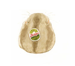 Rule 34 | animal focus, commentary, from behind, hamster, no humans, simple background, sticker, white background, yeyuan33, zespri