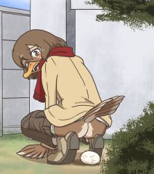 Rule 34 | 1girl, arm support, ass, beak, beige footwear, beige jacket, bird girl, blue sky, blush stickers, brown feathers, brown hair, brown pants, building, bush, clothes pull, day, egg, egg laying, feathers, fence, furry, grass, hair between eyes, jacket, medium hair, open mouth, original, outdoors, pants, pants pull, pussy juice, scarf, shadow, sky, solo, squatting, starman (artist), tearing up, tears, tree, underwear, winged arms, wings