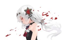 Rule 34 | 1girl, ascot, bad id, bad pixiv id, bare shoulders, black dress, black ribbon, blush, closed mouth, commentary, dokomon, dress, english commentary, flower, grey hair, hair between eyes, hair flower, hair ornament, highres, honkai (series), honkai impact 3rd, long hair, looking away, looking down, petals, red ascot, red eyes, red flower, red rose, ribbon, rose, simple background, sleeveless, sleeveless dress, solo, theresa apocalypse, theresa apocalypse (luna kindred), white background