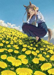 Rule 34 | 1girl, absurdres, animal ears, black footwear, blue eyes, blue shirt, blue skirt, breasts, bright pupils, brown hair, buttons, closed mouth, cloud, dandelion, field, flower, flower field, full body, grass wonder (umamusume), high heels, highres, holding, holding flower, horse ears, horse girl, horse tail, houkou illust, long hair, long sleeves, looking at viewer, medium breasts, outdoors, shirt, shirt tucked in, skirt, smile, solo, squatting, tail, umamusume, white pupils