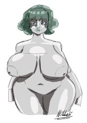 Rule 34 | absurdres, breasts, green hair, highres, large breasts, plump, wide hips