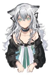 Rule 34 | 1girl, animal ears, arknights, black jacket, black ribbon, blue eyes, cat ears, commentary, cropped torso, dress, female focus, gawako, grey hair, hair between eyes, hair ribbon, highres, jacket, light blush, long hair, looking at viewer, mint (arknights), off shoulder, open clothes, open jacket, ribbon, simple background, sketch, solo, unfinished, upper body, white background