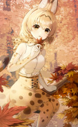 Rule 34 | 1girl, absurdres, animal ears, animal print, autumn, autumn leaves, blonde hair, bow, bowtie, elbow gloves, gloves, highres, holding, huge filesize, kemono friends, looking at viewer, multicolored bow, multicolored clothes, multicolored legwear, open mouth, outdoors, serval (kemono friends), serval print, shirt, sitting, sleeveless, sleeveless shirt, spotted skirt, tail, traditional bowtie, white shirt, yellow eyes, zipgaemi