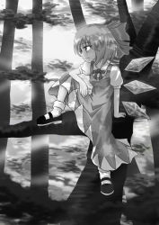 Rule 34 | 1girl, bad id, bad pixiv id, cirno, dress, female focus, forest, full body, greyscale, highres, monochrome, nature, niiko (gonnzou), outdoors, plant, solo, touhou