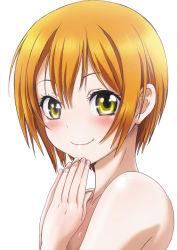 Rule 34 | 10s, 1girl, blush, completely nude, hair between eyes, hoshizora rin, looking at viewer, love live!, love live! school idol project, nail polish, nanno koto, nude, orange hair, own hands together, pink nails, short hair, simple background, smile, solo, upper body, white background, yellow eyes