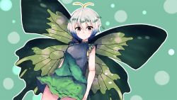 Rule 34 | 1girl, antennae, aqua hair, bad id, bad twitter id, blush, brown eyes, butterfly wings, closed mouth, cowboy shot, darumoon, dress, eternity larva, fairy, green dress, hair between eyes, insect wings, leaf, leaf on head, multicolored clothes, multicolored dress, short hair, single strap, smile, solo, third-party source, touhou, wings