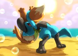 Rule 34 | 1other, animal ears, animal feet, arched back, artist name, backlighting, bandana, beach, black fur, blue fur, blurry, blurry background, body fur, bubble, cloud, creatures (company), eevee, furry, game freak, gen 1 pokemon, gen 4 pokemon, green bandana, highres, leaning back, neck fur, nintendo, open mouth, orange sky, other focus, pawpads, pokemon, pokemon (creature), pokemon mystery dungeon, pokemon mystery dungeon: explorers of time/darkness/sky, riolu, sand, sifyro, signature, sky, standing, sun, sunset, suplex, tail, two-tone fur, upside-down