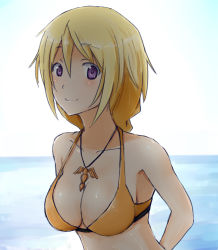 Rule 34 | 10s, 1girl, arms behind back, bikini, breasts, charlotte dunois, cleavage, female focus, infinite stratos, jewelry, outdoors, pendant, purple eyes, sky, smile, solo, swimsuit