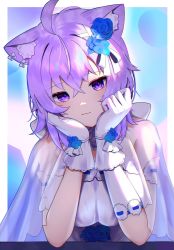 Rule 34 | 1girl, :3, ahoge, animal ears, ao ne, breasts, breasts squeezed together, cat ears, cloak, closed mouth, crossed bangs, dress, elbow rest, flower, gloves, hair between eyes, hair flower, hair ornament, hands up, highres, hololive, jitome, large breasts, light purple hair, looking at viewer, medium hair, nekomata okayu, outside border, purple eyes, see-through, smile, solo, upper body, virtual youtuber