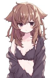 Rule 34 | 1girl, absurdres, animal ears, aoi tori, black bra, blush, bra, breasts, brown eyes, closed mouth, collarbone, commentary, frilled bra, frills, hair between eyes, highres, long hair, looking at viewer, messy hair, off shoulder, original, sidelocks, simple background, small breasts, solo, underwear, upper body, white background