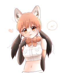 Rule 34 | :3, :p, animal ears, black gloves, black hair, blush, bow, bowtie, crop top, elbow gloves, extra ears, gloves, hair between eyes, highres, kemono friends, kemono friends 3, kuromitsu (9633 kmfr), maned wolf (kemono friends), midriff, multicolored hair, navel, orange bow, orange bowtie, orange eyes, orange hair, shirt, sidelocks, tongue, tongue out, twintails, two-tone hair, upper body, white shirt, wolf ears, wolf girl