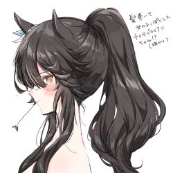 Rule 34 | 1girl, animal ears, bandaid, bandaid on face, bandaid on nose, bare shoulders, black hair, blush, closed mouth, commentary request, ear ornament, from side, heart, highres, horse ears, horse girl, long hair, looking at viewer, mouth hold, narita brian (umamusume), ponytail, simple background, solo, stalk in mouth, tetora (oudonoishiize), translation request, umamusume, upper body, white background, yellow eyes