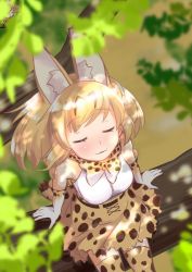 Rule 34 | 1girl, :3, animal ears, bare shoulders, blonde hair, blush, bow, bowtie, closed eyes, commentary request, elbow gloves, extra ears, from above, gloves, high-waist skirt, highres, kemono friends, multicolored hair, print bow, print bowtie, print gloves, print neckwear, print skirt, print thighhighs, serval (kemono friends), serval print, serval tail, shirt, short hair, sitting, skirt, sleeveless, solo, taguchi makoto, tail, thighhighs, traditional bowtie, white shirt, zettai ryouiki