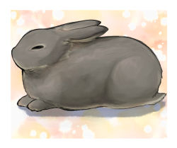 Rule 34 | animal, animal focus, black eyes, border, brown background, commentary request, full body, m.m, no humans, original, rabbit, whiskers, white border
