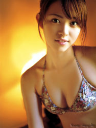 Rule 34 | 1girl, asian, breasts, brown eyes, brown hair, cleavage, iwasa mayuko, large breasts, mayuko iwasa, photo (medium), solo