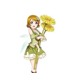Rule 34 | 10s, 1girl, brown hair, clothing cutout, cross-laced clothes, dandelion, fairy, fairy wings, flower, frills, green skirt, hair flower, hair ornament, holding, holding flower, koizumi hanayo, looking at viewer, love live!, love live! school idol festival, love live! school idol project, mini person, minigirl, official art, open mouth, purple eyes, short hair, shoulder cutout, skirt, solo, swept bangs, transparent background, wings