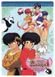 Rule 34 | 1980s (style), 3boys, 3girls, arrow (projectile), barefoot, bird, black eyes, black hair, bow (weapon), braid, bun cover, card (medium), casual one-piece swimsuit, chinese clothes, copyright name, crossed arms, cupid, double bun, dual persona, duck, feathered wings, genderswap, genderswap (mtf), goggles, goggles on head, happosai, headband, hibiki ryouga, holding, holding bow (weapon), holding weapon, letter, long hair, long sleeves, looking at viewer, mousse (ranma 1/2), multiple boys, multiple girls, official art, old, old man, oldschool, one-piece swimsuit, open mouth, p-chan, panda, purple hair, ranma-chan, ranma 1/2, red hair, retro artstyle, saotome genma, saotome ranma, shampoo (ranma 1/2), short hair, single braid, swimsuit, tangzhuang, tendou akane, weapon, white wings, wings