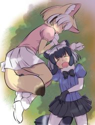 Rule 34 | 10s, 2girls, animal ears, black hair, blonde hair, bow, bowtie, common raccoon (kemono friends), elbow gloves, closed eyes, fang, fennec (kemono friends), fox ears, fox tail, fur collar, fur trim, gloves, grass, kemono friends, multicolored hair, multiple girls, open mouth, pantyhose, pleated skirt, puffy short sleeves, puffy sleeves, raccoon ears, raccoon tail, short hair, short sleeves, skirt, sleeping, taguchi makoto, tail, thighhighs, white hair
