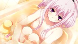 Rule 34 | 1girl, bath, breasts, game cg, miyamori korone, narumi suzune, pink hair, purple hair, small breasts, tojita sekai no tori colony