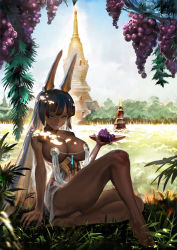 Rule 34 | 1girl, animal ears, barefoot, black hair, blue eyes, breasts, cleavage, colored inner hair, commentary request, corset, dappled sunlight, dark-skinned female, dark skin, day, closed eyes, fingernails, food, fruit, full body, grapes, highres, jackal ears, jewelry, jungle, large breasts, leg up, lips, long hair, multicolored hair, nature, neck ring, original, pasties, plate, see-through, see-through skirt, silver hair, sitting, skirt, solo, sunlight, tassel, thick thighs, thighs, toes, topless, tower, two-tone hair, zm