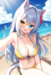 Rule 34 | 1girl, :d, aina rive, animal ear fluff, animal ears, bare arms, bare shoulders, beach, bikini, blue eyes, blue sky, breasts, cat ears, cat girl, cat tail, cleavage, cloud, collarbone, commentary request, day, flower, frilled bikini, frills, grey hair, hair between eyes, hair flower, hair intakes, hair ornament, heterochromia, hibiscus, horizon, large breasts, long hair, looking at viewer, mauve, navel, ocean, open mouth, original, outdoors, red flower, sand, sitting, sky, smile, solo, starfish, sunlight, swimsuit, tail, very long hair, water, yellow bikini, yellow eyes