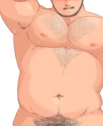 Rule 34 | 1boy, archer (archery045), arm up, bara, beard stubble, belly, facial hair, fat, fat man, head out of frame, highres, large pectorals, light smile, male focus, male pubic hair, mature male, muscular, muscular male, navel, navel hair, nipples, nude, original, out-of-frame censoring, pectorals, pencil mustache, pubic hair, solo, sparse chest hair, sparse navel hair, stomach, stubble, sweat, very sweaty